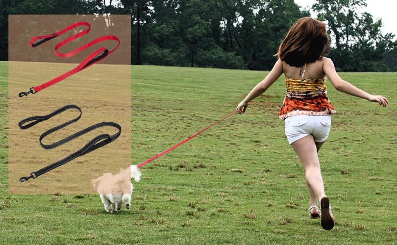 Dog Leash for Large Medium Small Pets