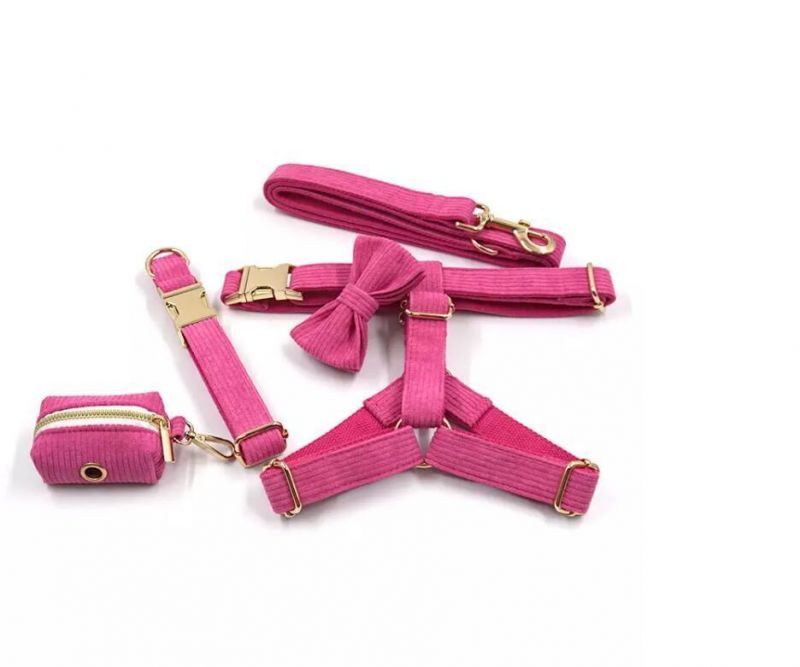 New Arrival High Quality Dog Collars Bowties Soft Corduroy New Design Colorful Dog Collar Lead Metal Buckle Dog Collar Leashes