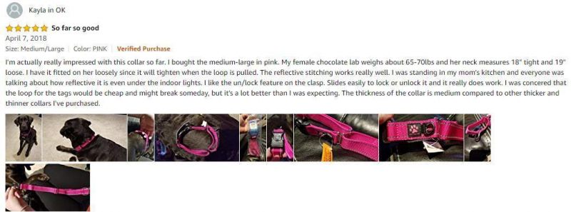 Puppy Collars Anti-Escape Martingale Training Collars with Quick Release Buckle