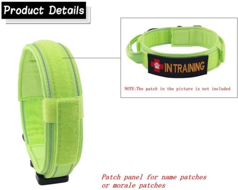 Reflective Nylon Dog Collar with Metal Buckle and Control Handle