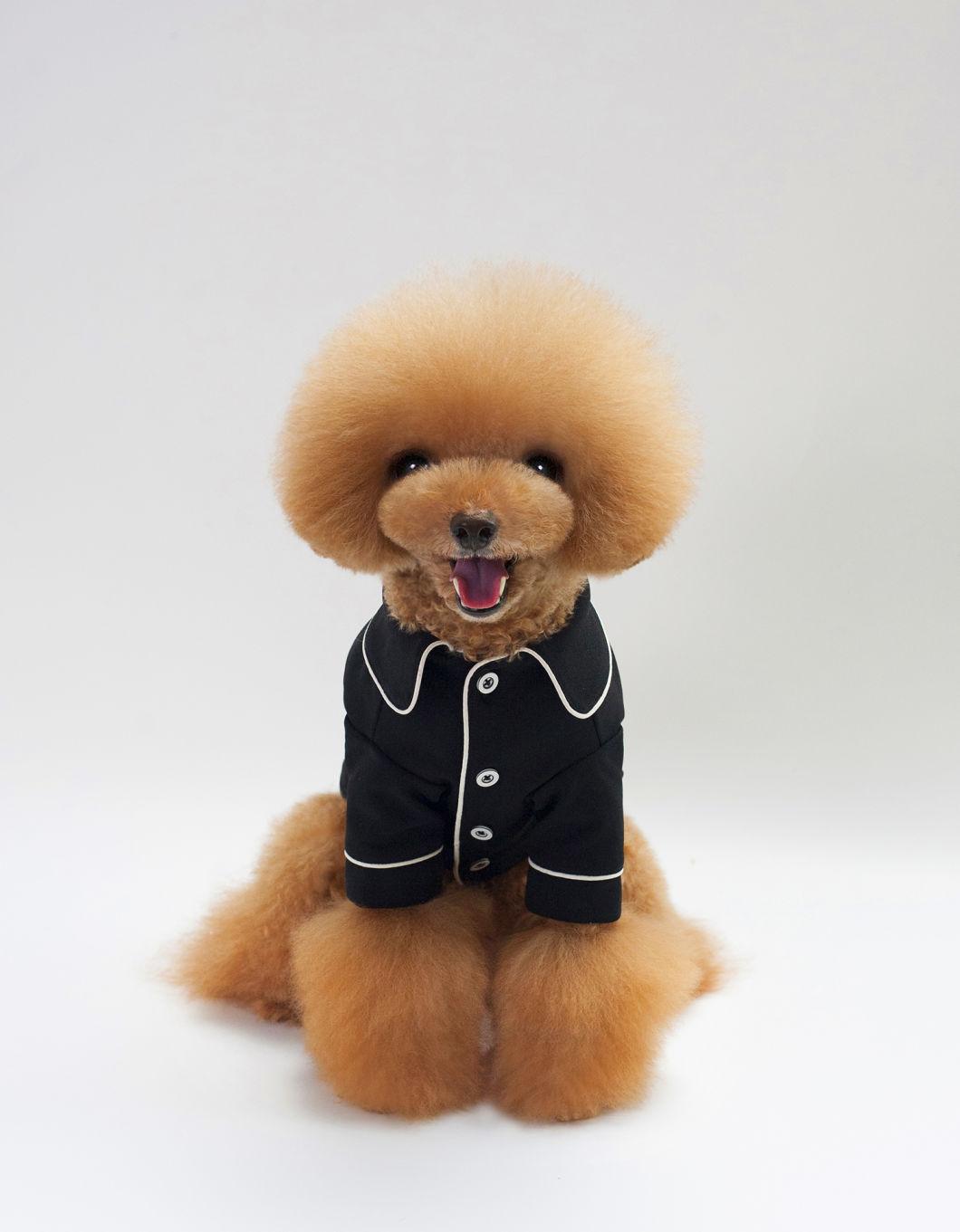 Hot Sale Custom Fashion Classic Pet Shirt Dog Cool Clothes