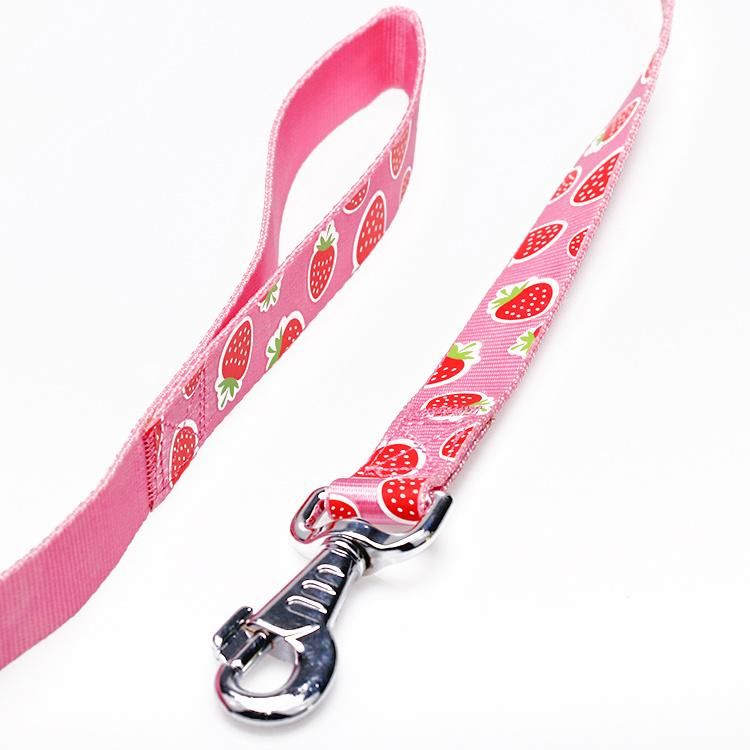 Amazon Same Style Pink Leash Lovely Silk Screen Pattern Nylon Material Pet Training Dog Leash