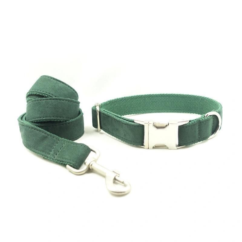 Factory Wholesale Nylon Webbing Dog Leash Suit
