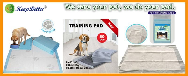 Disposable Anti-Slip Adhesive Pet/Dog/Puppy/Cat Pet Care Products Accessories Supplies Wholesale Training PEE/Piddle/Urine/Wee/Toilet/Sanitary Bed Mat Pad