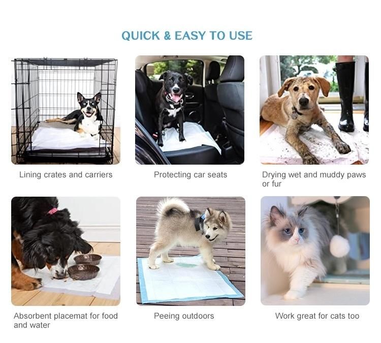 Puppy Training Products Disposable Pet Dog Training Potty PEE Pads