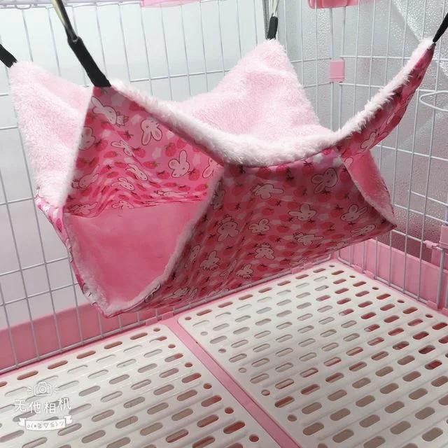 Luxurious Pet Bird and Pet Hammock Room