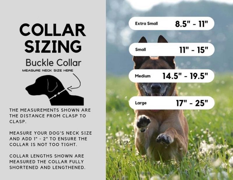 Nylon Buckle Reflective Dog Collar Premium Pet Collars