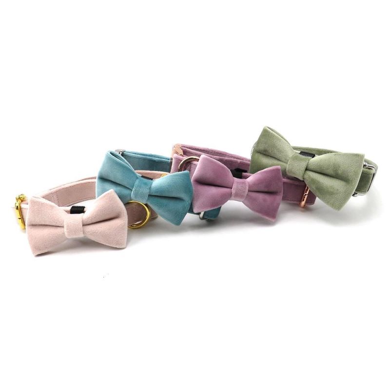 Luxury Accessories for Pets Velvet Adjustable Metal Buckle Dog Collar with Removable Bowtie