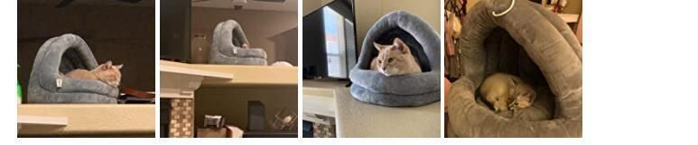 Cat Bed for Indoor Cats Machine Washable Cat Beds
