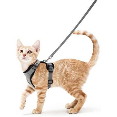 Pet Harness for Small Cat