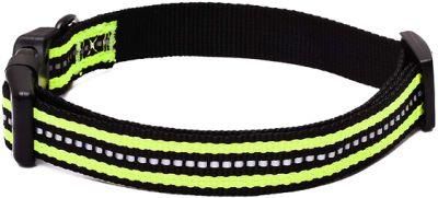 Strong Nylon Webbing Puppy Collars Best Dog Collars