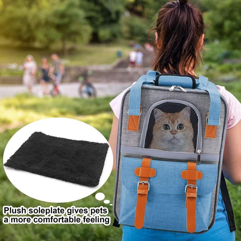 Airline Approved Breathable Outdoor Expandable Pet Carrier Folding Dog Cat Carrier Backpack