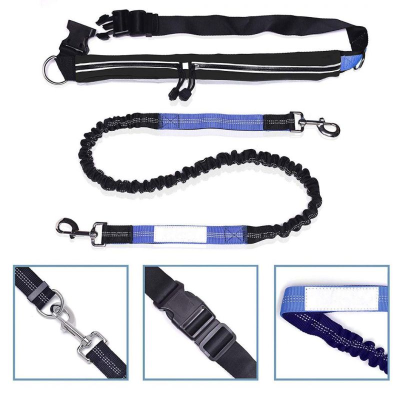 Retractable Dual Handle Bungee Waist Dog Leash