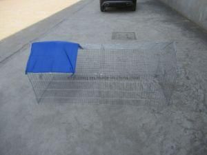 Factory Direct Sale Pet Cage for Rabbit