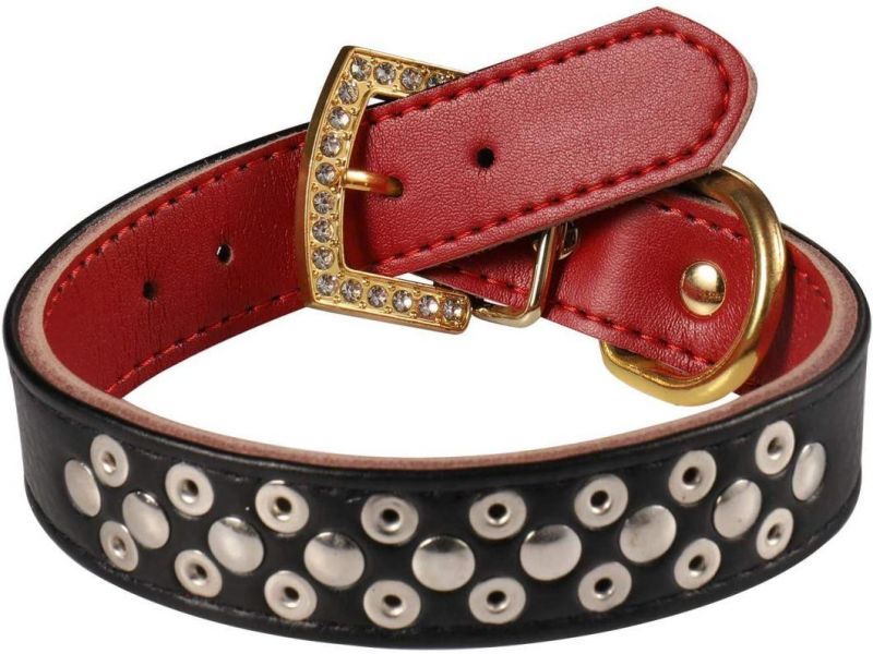 Gold Spikes Studded Personalized Collar