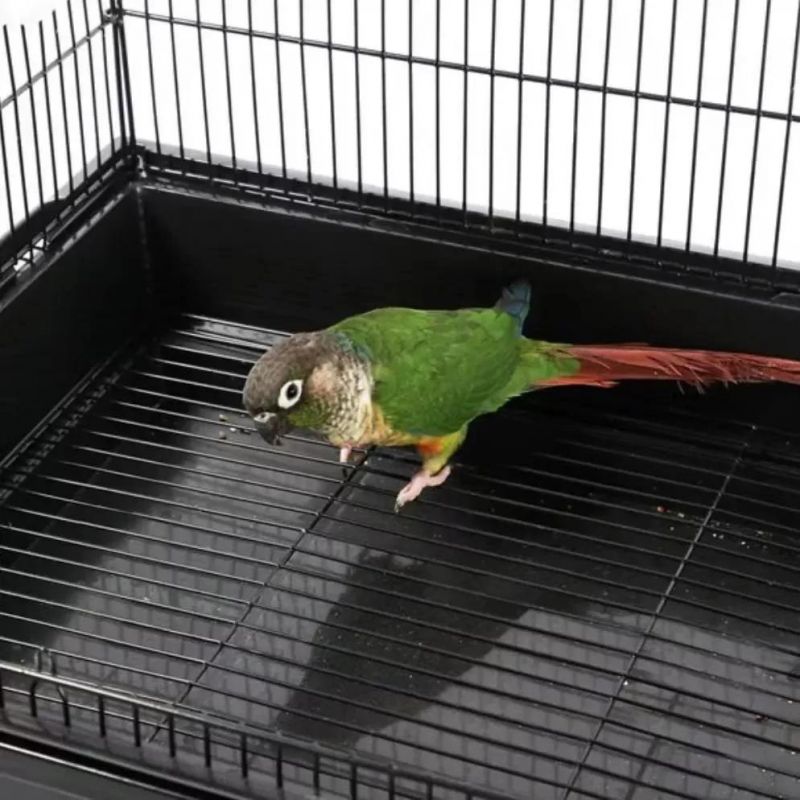 in Stock Factory Directly Sale Stand Perched Bird Breeding Cages