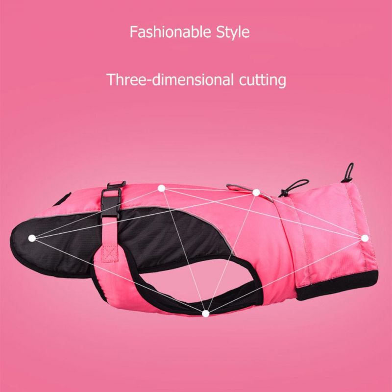 Two Colors Sport Dog Jacket Fashion Pet Clothes