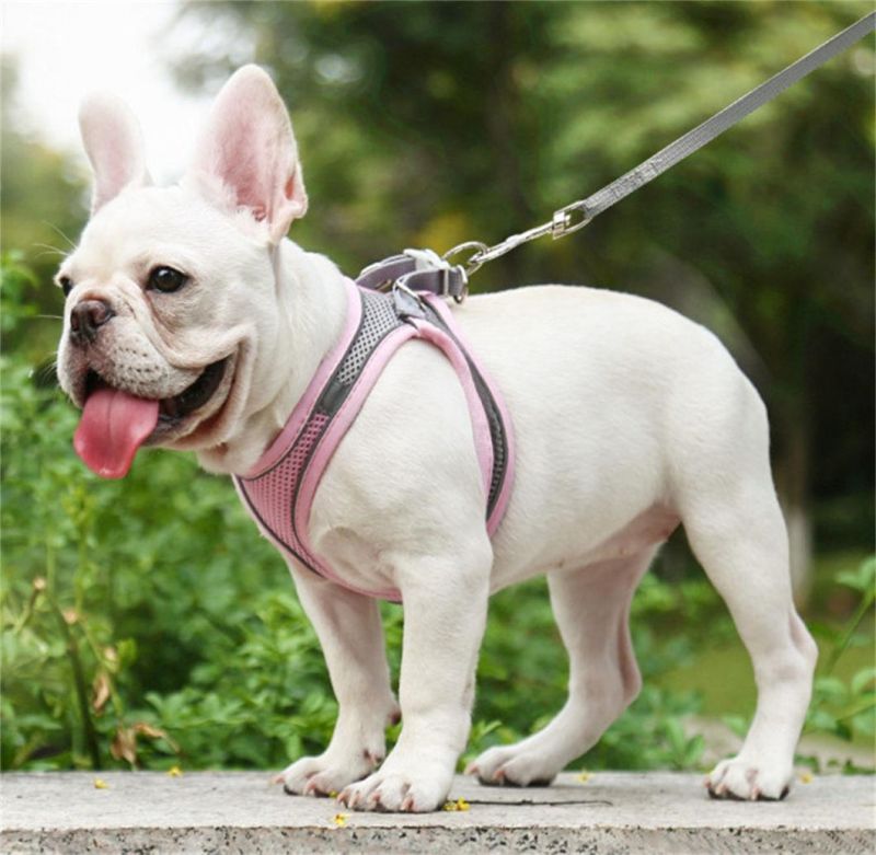 Dog Cat Harness Vest with Walking Lead Leash