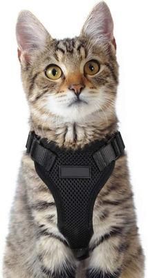 Escape Proof Small Cat and Dog Harness Soft Mesh Harness