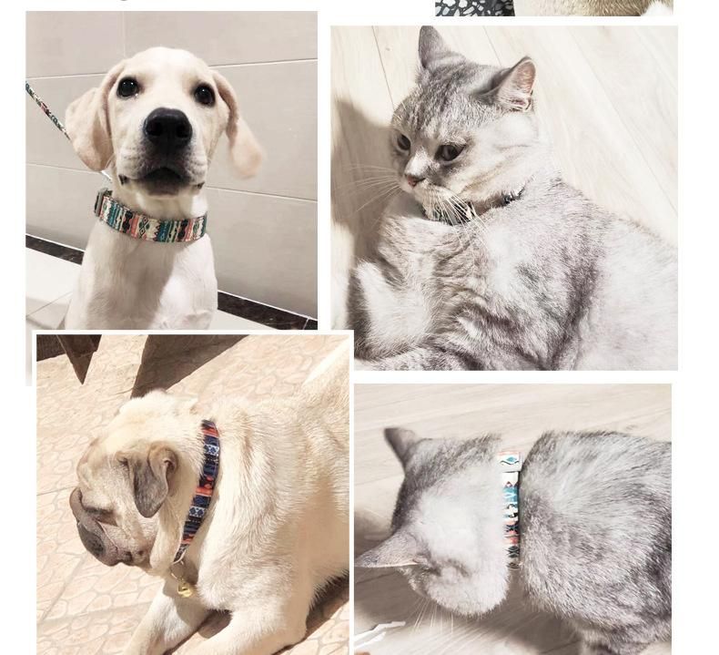 Custom Personalized Logo Design Sublimation Printing Plain Nylon Pet Cat Dog Collar