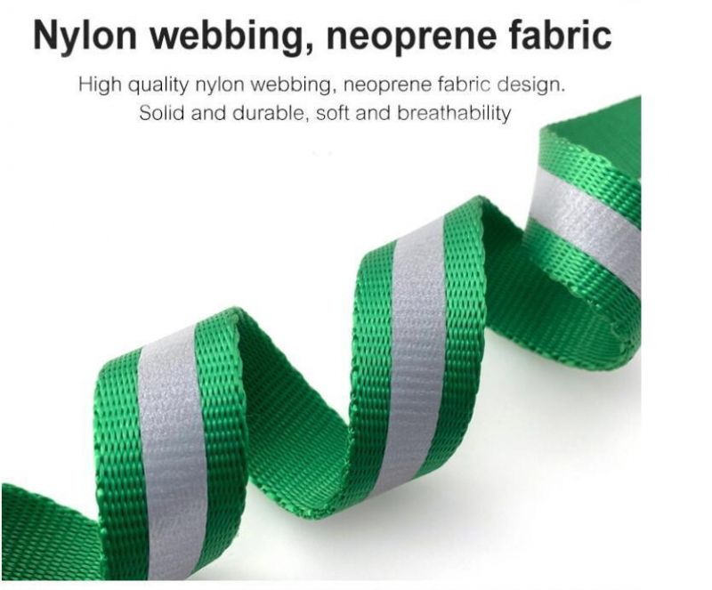 Wholesale Minimum Order Print Adjustable Nylon Dog Collar with Leash