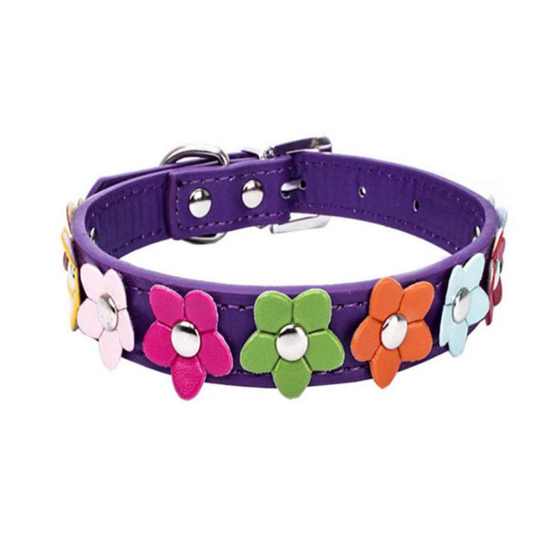 Charming Dog Collar with Beautiful Flowers Design