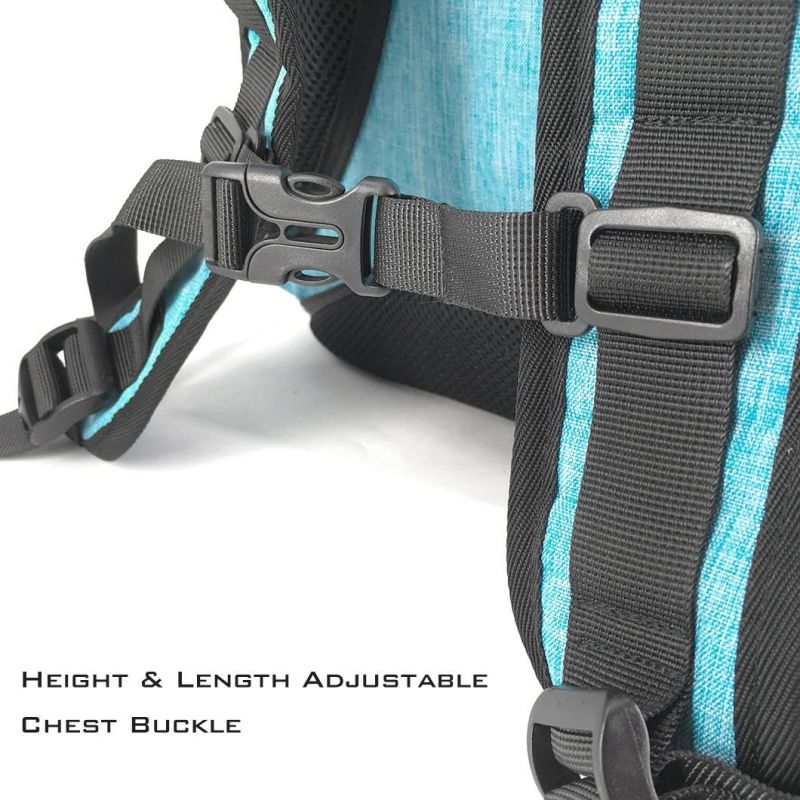 Wholesale Pet Supply Transaprent Pet Carrier Small Pet Dog Cat Backpack
