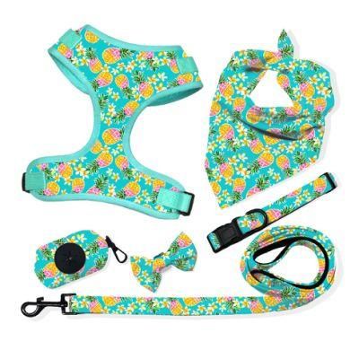 Pet Harness Set Custom Dog Leash Collar Adjustable Dog Harness