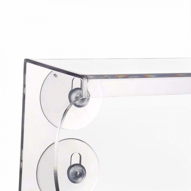 Factory Price Clear Acrylic Window Bird Feeder with Suction Cup