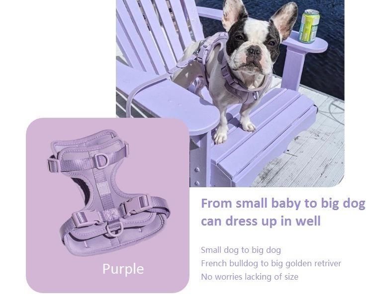 Breathable Soft and Padded 2020 USA Big Dog Harness