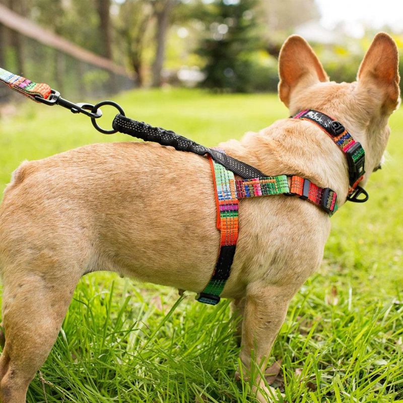 Bungee Handle Design Reflective Dog Harness