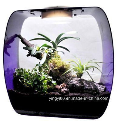 Best Selling Acrylic  Reptile Products Shenzhen Factory