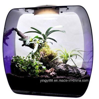Best Selling Acrylic Reptile Products Shenzhen Factory