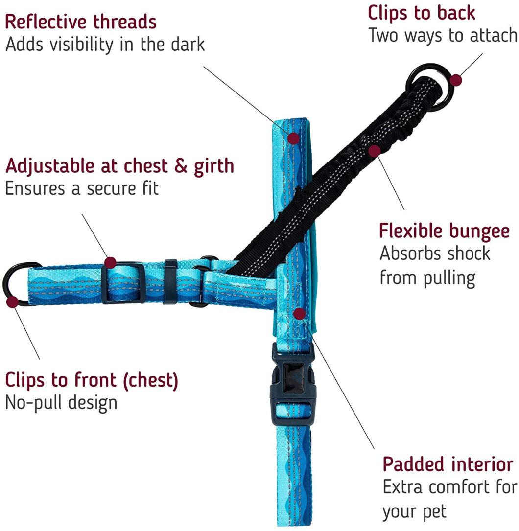 Custom Design Webbing Dog Harness with Bungee Handle