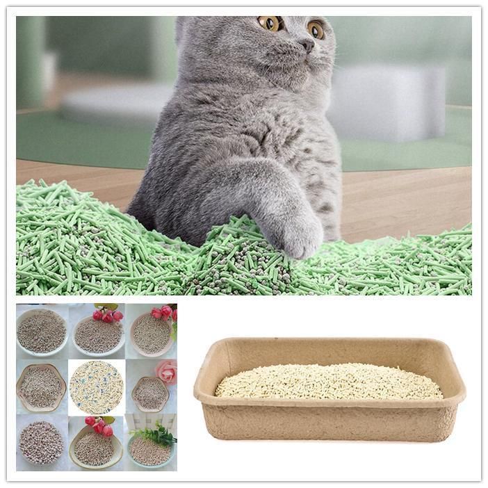 OEM Custom Design Cheap Price Best Clean Flushable Cat Litter for Pet for Cat Cleaning