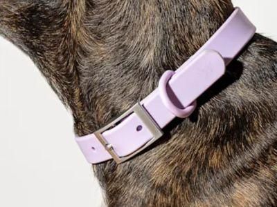 OEM/ODM Stylish Design Original Manufacturer Factory All-Size Colored Adjustable Nylon Pet Collar
