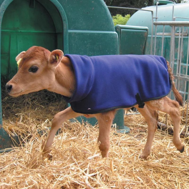 Premature Fleece Calf Coat