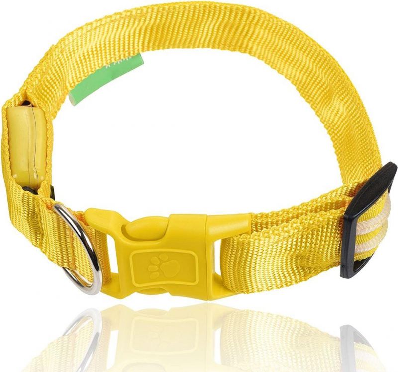 User-Friendly, Comfortable and Fully Adjustable LED Dog Collar