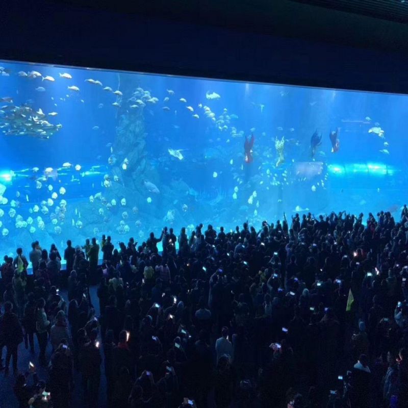 Customized Acrylic Panel Aquarium Project