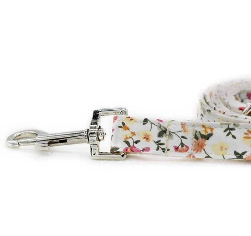 Adustable Metal Buckle Dog Collar with Matching Dog Leash