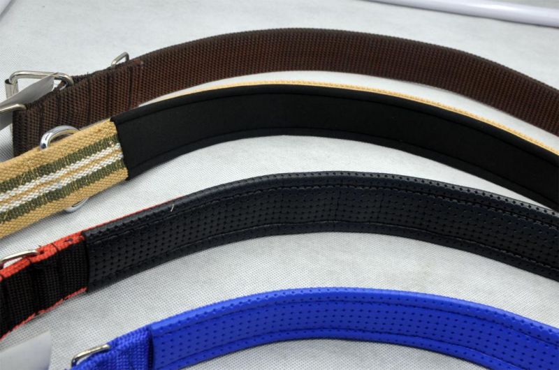 High Quality Pet/Dog/Cat Animal Buckle Adjustable Strip Collar (PCZW21042)
