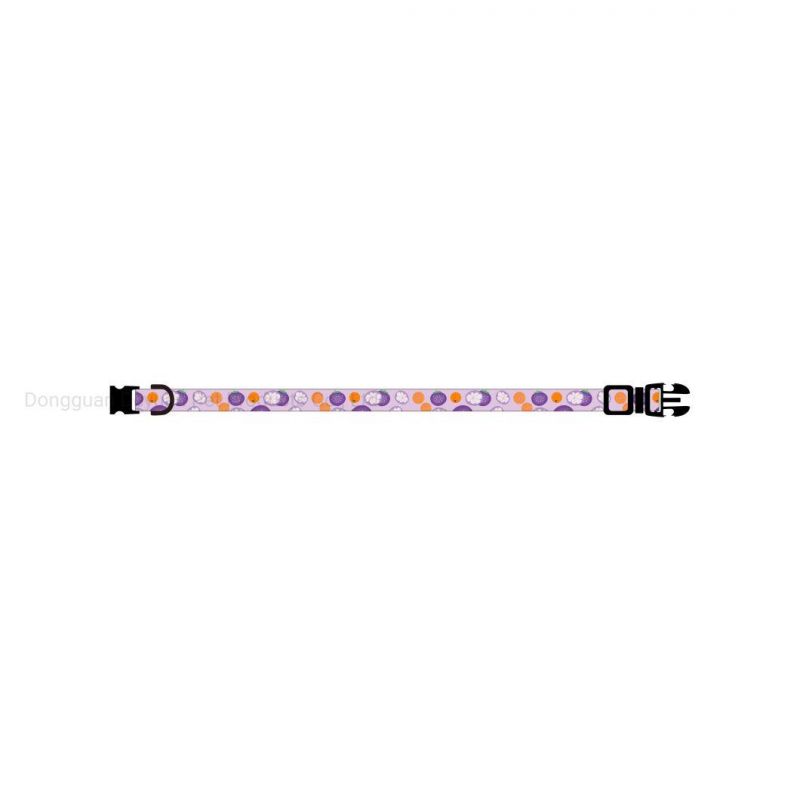 New Summer Fruit Series Pet Collar, Orange Collar