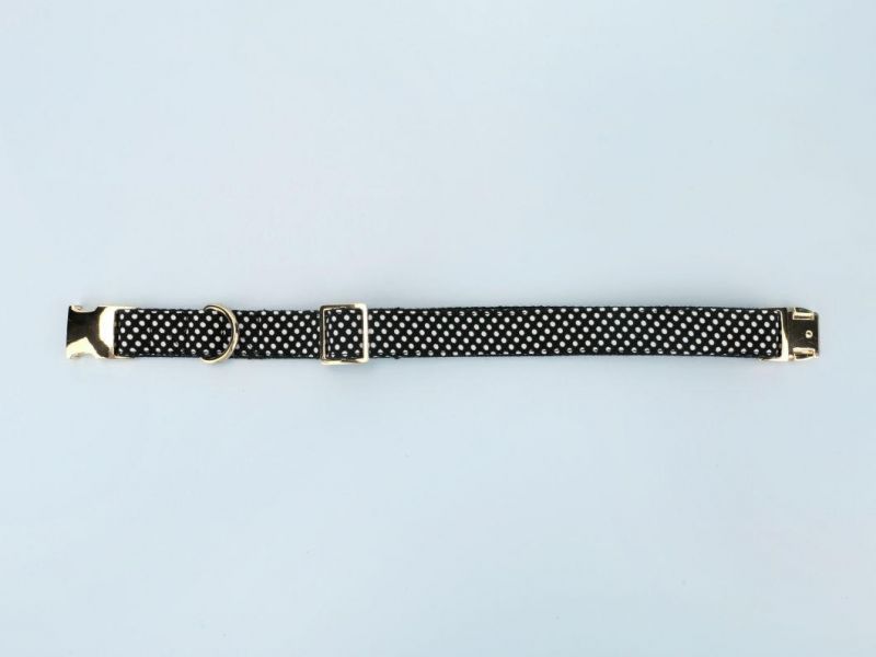Pattern Dog Collar with Nylon Webbing