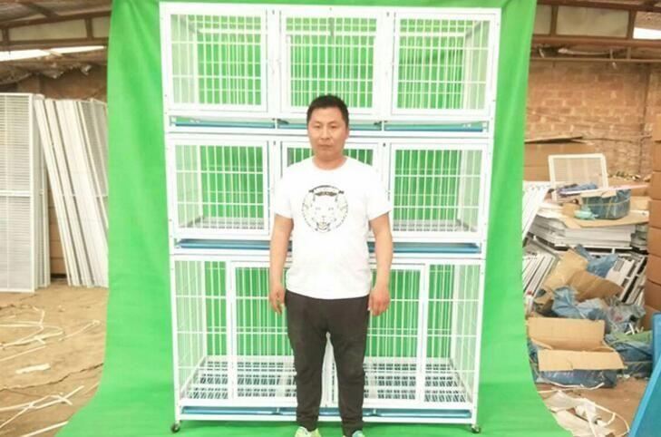 Breeding Cage Display Cage Pet Large and Small Dog Multi-Layer Dog Cage Isolation