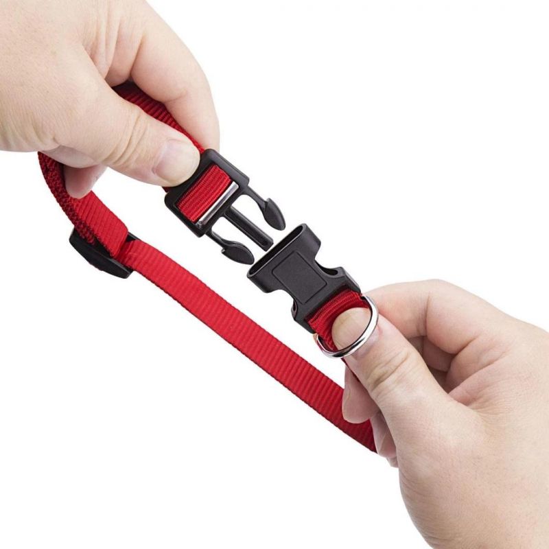 Basic Dog Collar and Leash Set with Fast Delivery