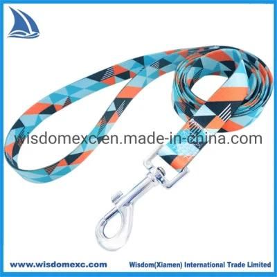 Dog Collar Long Leash Set Customized Pattern with Silver Clip