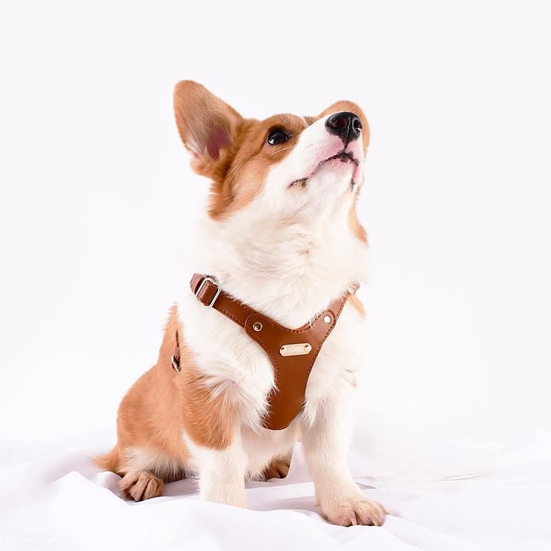 Wholesale New Pet Products Designer Stocked Personalized Luxury Vegan Leather Dog Harness