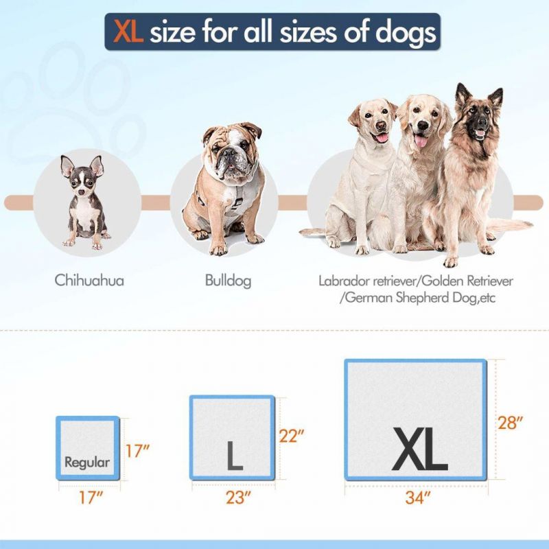 Supplier Hot Sale Disposable Pet Training Pet Bed Absorbency Underpad for Pet Dog