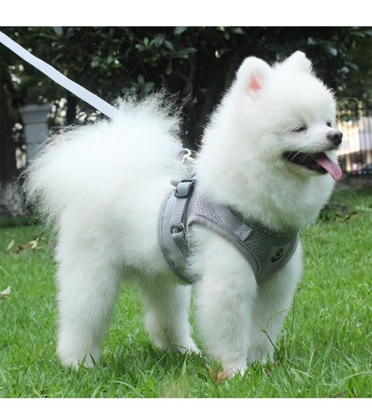 Classic Pet Cool Products Nobble Ball Dog Harness