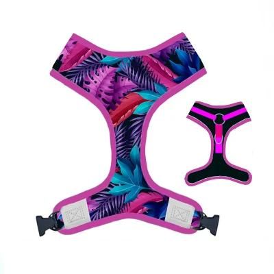 Bright Leaves Reversible Reflective Waterproof Soft Dog Neoprene Harness Leash Collar Bandana